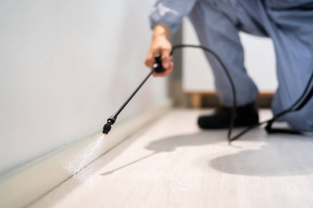 Licensed Exterminator service in Blue Mountain, MS - Show Me Pest Control